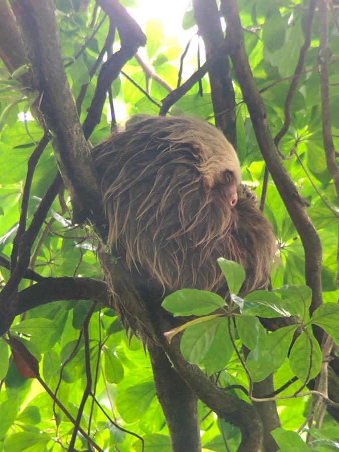 Green Leaf House La Fortuna 外观 照片